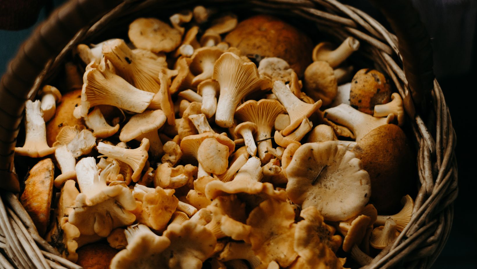 are mushrooms good for keto