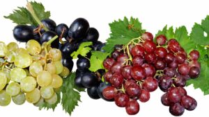 are grapes good for keto